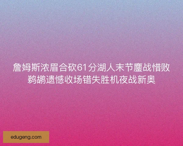 詹姆斯浓眉合砍61分湖人末节鏖战惜败鹈鹕遗憾收场错失胜机夜战新奥