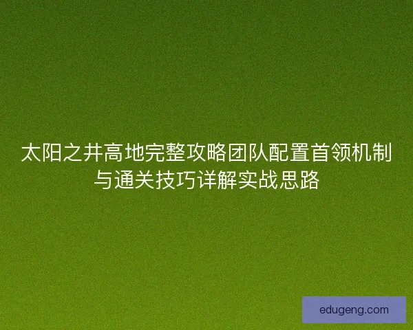 太阳之井高地完整攻略团队配置首领机制与通关技巧详解实战思路